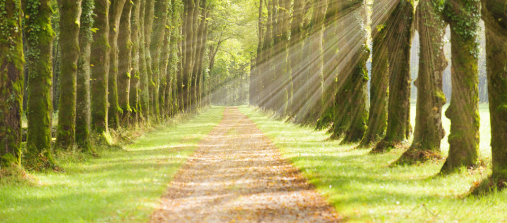 Chemin Et Allee 2 1024x451