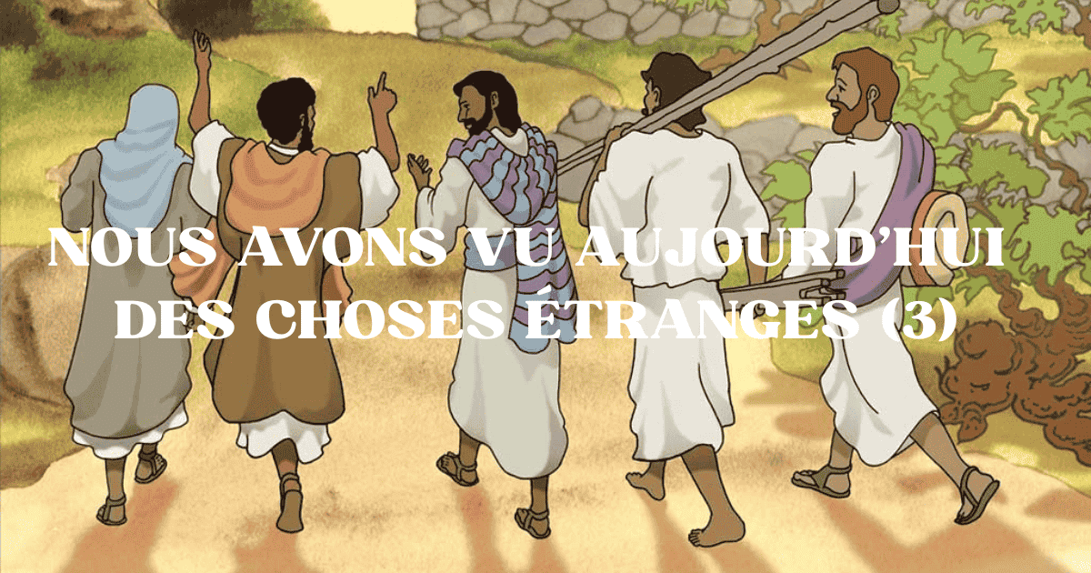 NOUS AVONS VU AUJOURD’HUI DES CHOSES ÉTRANGES (3)